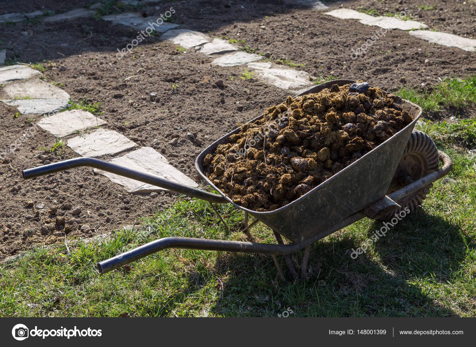 Horse manure on garden Stock Photo by ©Gatherina 148001399