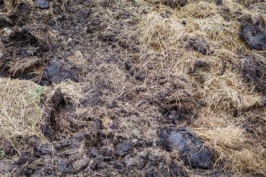 Alan gübreleme için gübre yığını