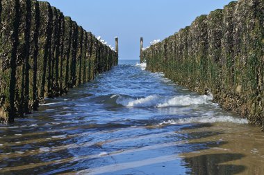 Kutup dalgakıran iki satır