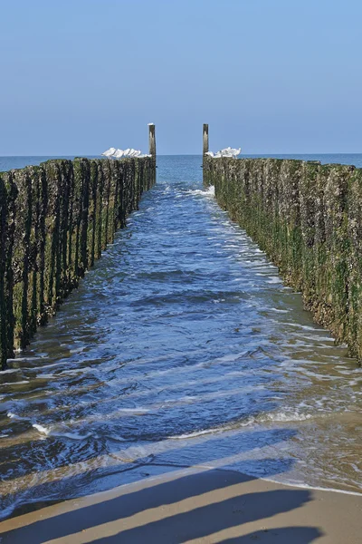 Between the two rows of poles of the breakwater — Stock Photo, Image