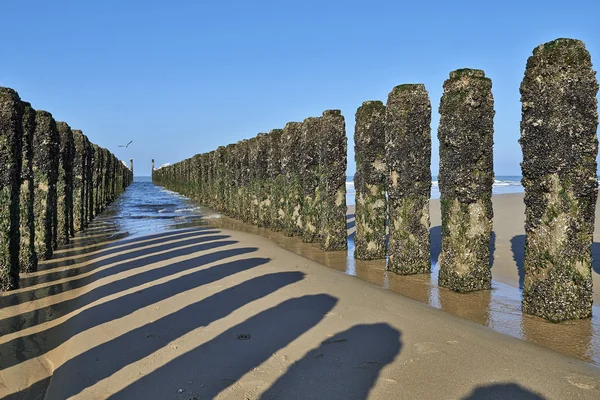 Between the two rows of poles of the breakwater — Stock Photo, Image