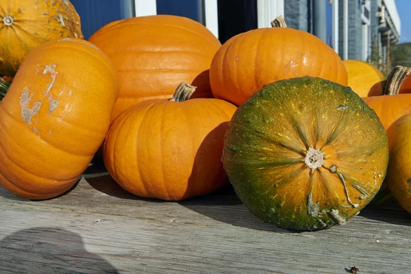 Assorted pumpkins and squashes on rustic wooden boards — Stock Photo, Image