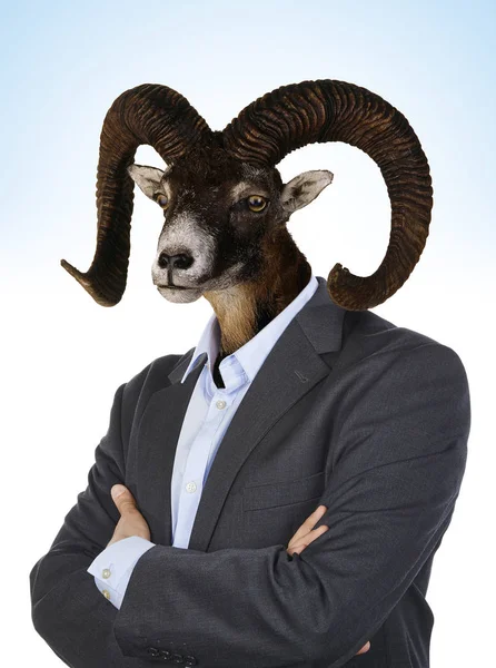 bir insanın vücudunda bir keçi kafası