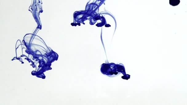 Transición tinta de color azul caído en el agua — Vídeos de Stock