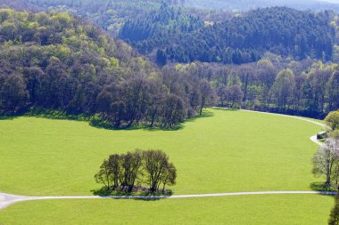 Yeşil çimen düz, orman ve yol.