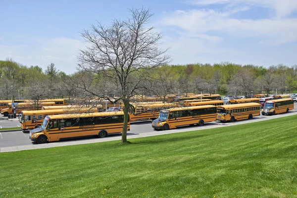 Veel van schoolbussen wachten voor kinderen — Stockfoto