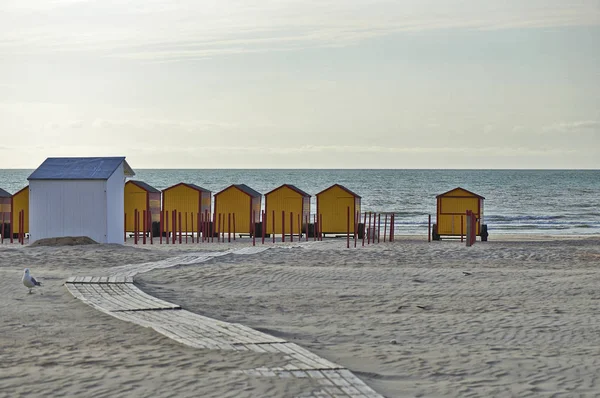 Beach cabins at the Northsea — Stock Photo, Image