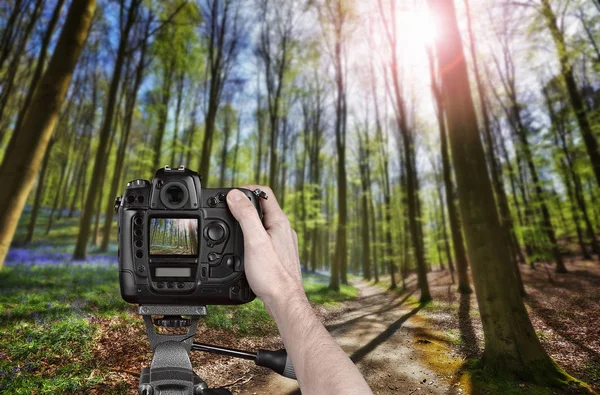 Profesyonel bir kamera tutan el