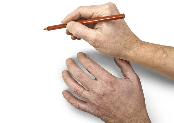 Two Artist Hands drawing isolated — Stock Photo, Image