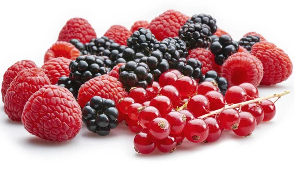 Organic bunch of red currants, blackberries  and raspberries — Stock Photo, Image