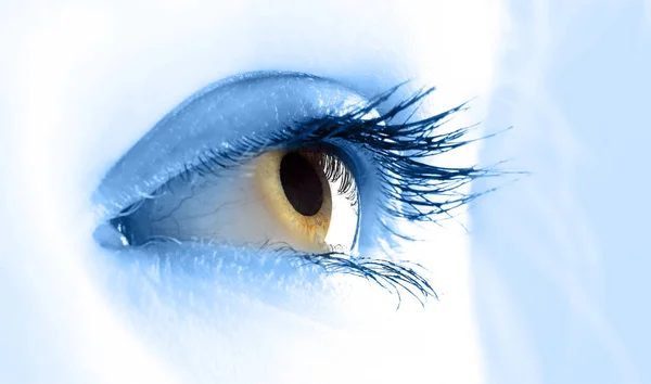 Macro view of a young women eye — Stock Photo, Image