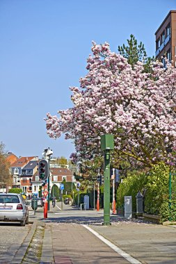 Hız kamerası ve sokak ışık 