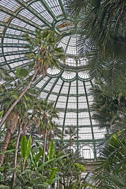 Laeken Kraliyet seralar 