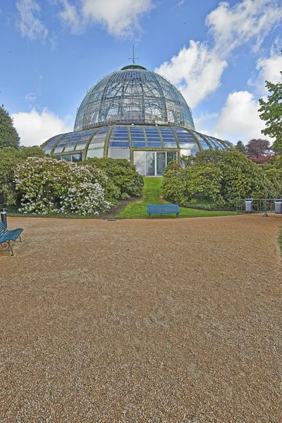 Les serres royales de Laeken — Photo