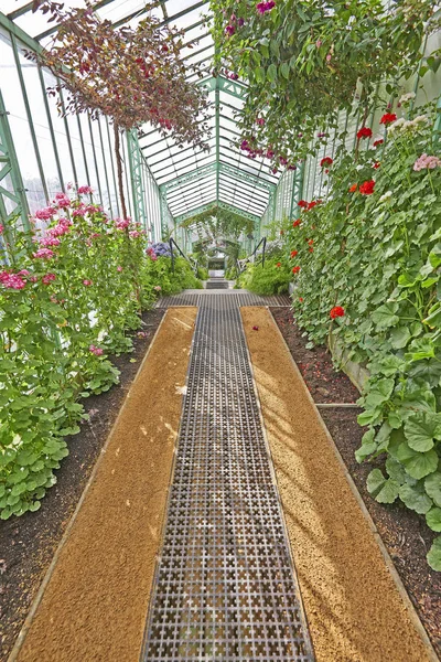 The Royal Greenhouses of Laeken — Stock Photo, Image