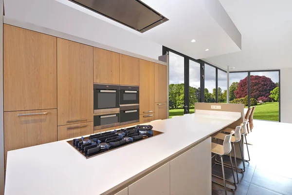Luxuosa cozinha balcão com exuberante jardim verdade janelas — Fotografia de Stock