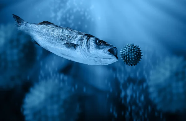 Peixe Pegando Grande Vírus Corona Sob Mar Azul Profundo Poluído — Fotografia de Stock