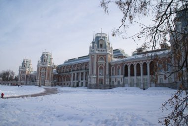 Grand Palace Tsaritsyno rezerv, Moskova, Rusya Federasyonu. Catherine büyük köşkü