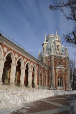 Grand Palace Tsaritsyno rezerv, Moskova, Rusya Federasyonu. Catherine büyük köşkü