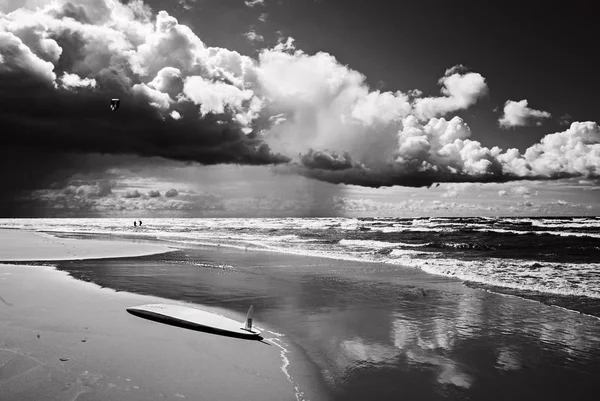 Marinhas pretas e brancas — Fotografia de Stock