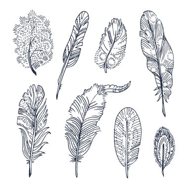 Kabataslak tüy toplama