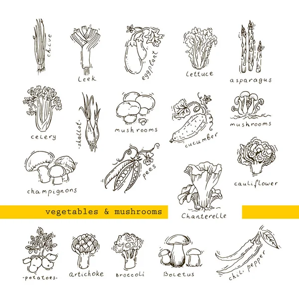Légumes et champignons — Image vectorielle
