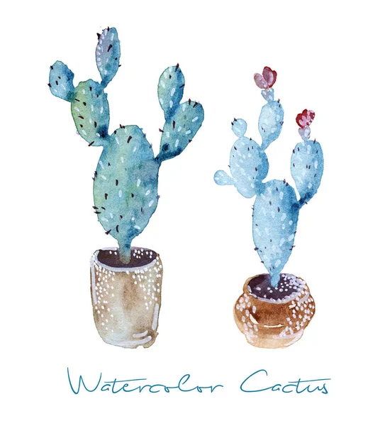 Ilustración en acuarela de Cactus —  Fotos de Stock