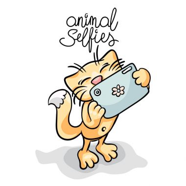 Selfie fotoğrafta akıllı telefon kedi