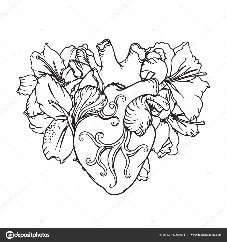 Stilizzato disegno anatomico del cuore umano Cuore con gigli bianchi in stile romantico Tattoo design modello di scheda concetto di fioritura del cuore
