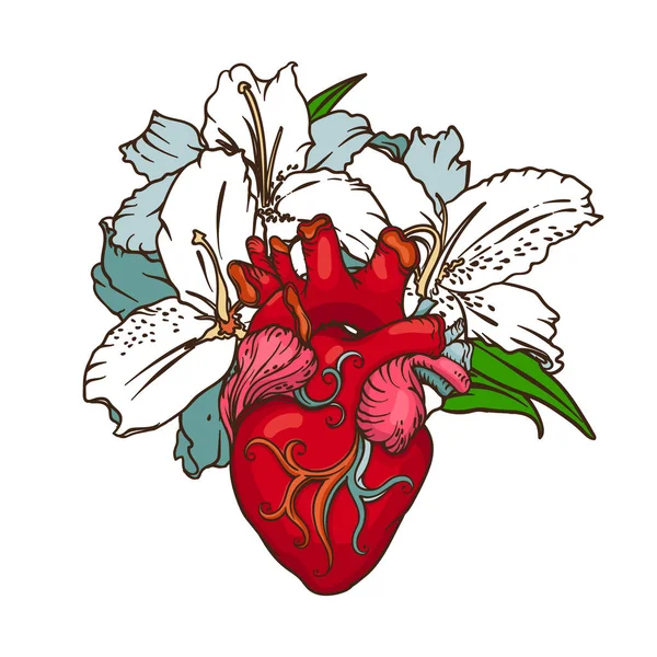 Kalp ile romantik tarzda beyaz zambaklar. Çiçek açan kalp kavramı. — Stok Vektör