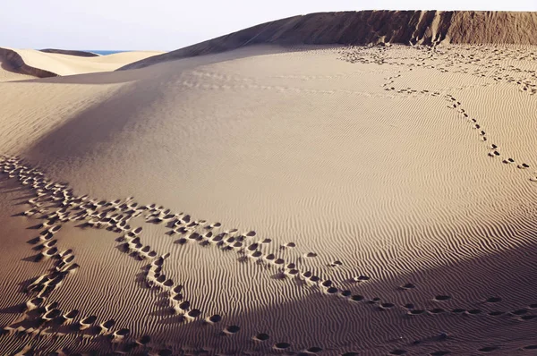 A Maspalomas dűnék, Gran Canaria, Spanyolország — Stock Fotó