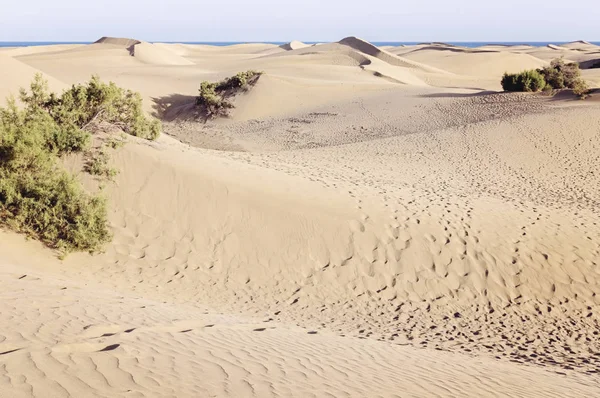 A Maspalomas dűnék, Gran Canaria, Spanyolország — Stock Fotó