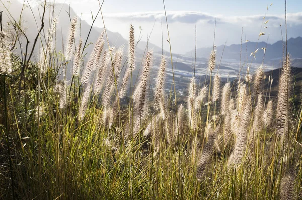 Uitzicht op de bergen van Gran Canaria eiland, Spanje — Stockfoto