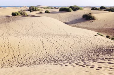Maspalomas dunes, Gran Canaria, İspanya