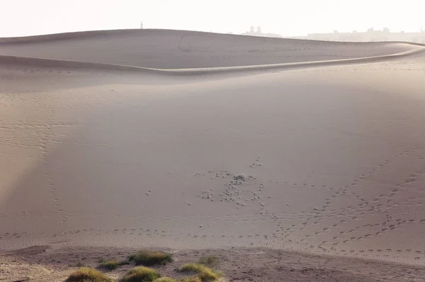 A Maspalomas dűnék, Gran Canaria, Spanyolország — Stock Fotó