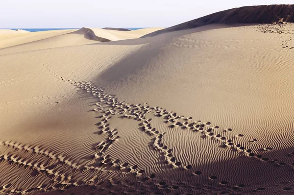 A Maspalomas dűnék, Gran Canaria, Spanyolország — Stock Fotó