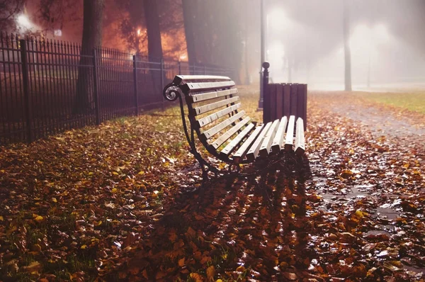 Tarde de otoño en el parque — Foto de Stock