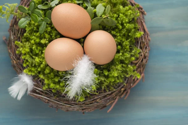 Jaja wielkanocne w gnieździe — Zdjęcie stockowe