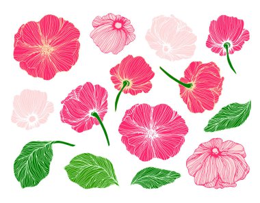 Elle çizilmiş çiçek ve yaprakları koleksiyonu