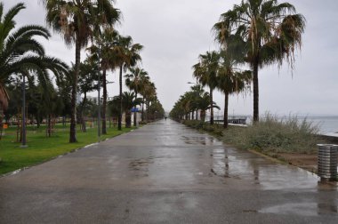 Kıbrıs'ta Limasol Marina