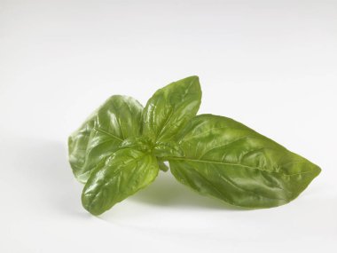 taze fesleğen yaprağı