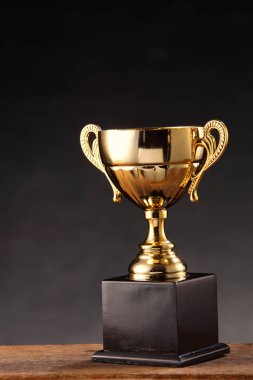 Tablo spor Kupası
