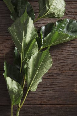 dut yaprakları masada