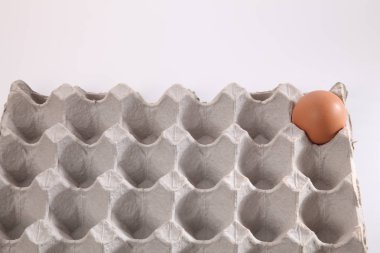 son yumurta içinde tepsi