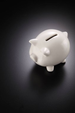 domuz madeni para kutusu