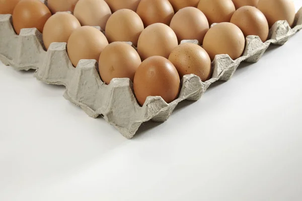 Лоток курячих яєць — стокове фото