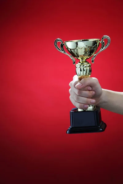 Troféu de esportes na mão — Fotografia de Stock