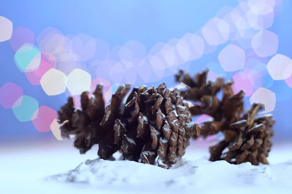 pine cones with snow
