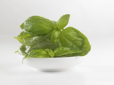 taze fesleğen yaprağı