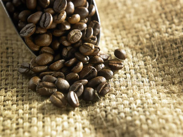 Roasted coffee beans — Stock Photo, Image